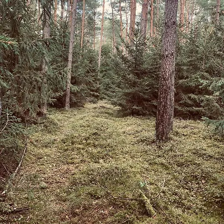 Дом отдыха Nad Stawem